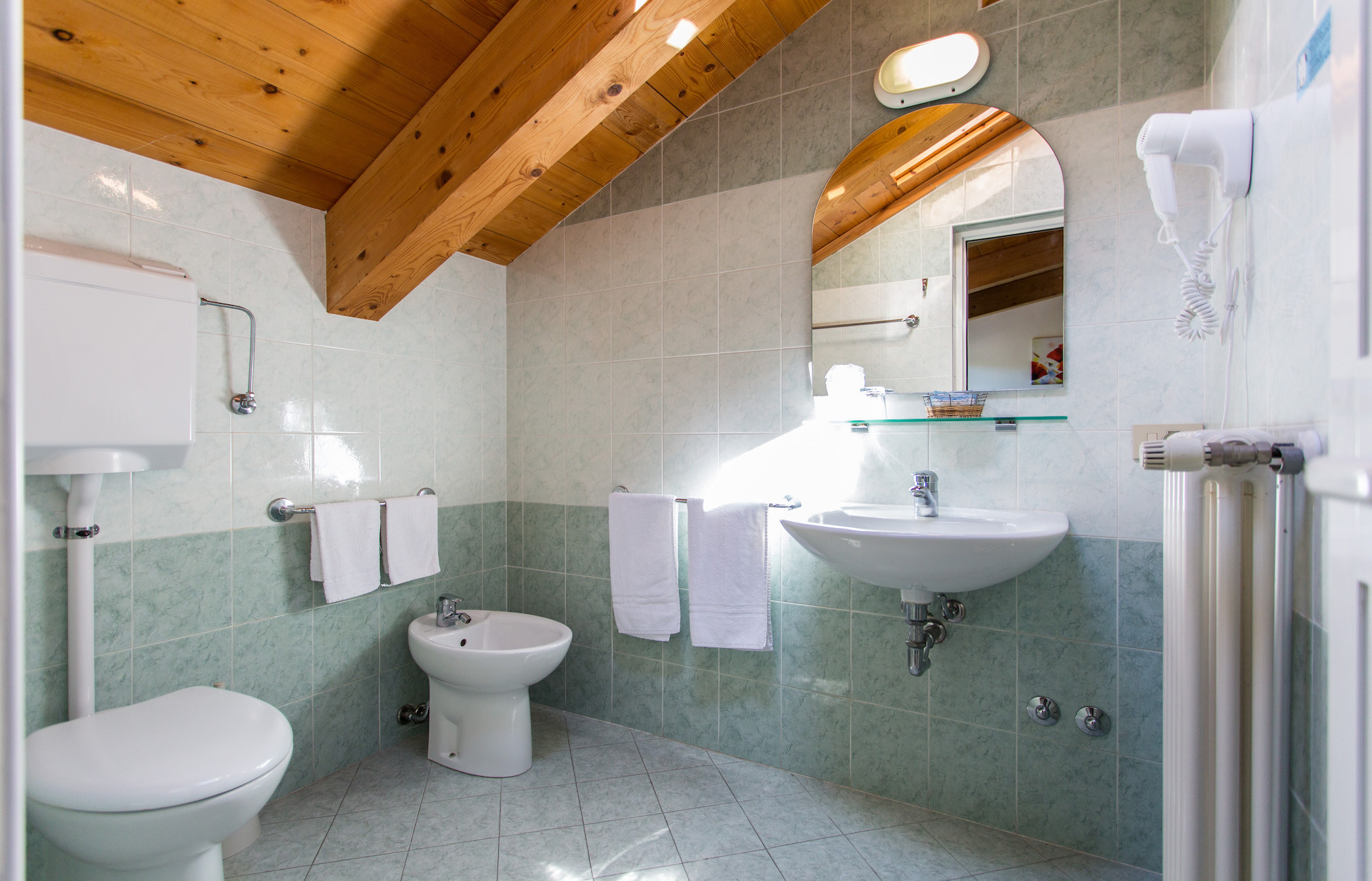 media.IMG_7648 copia