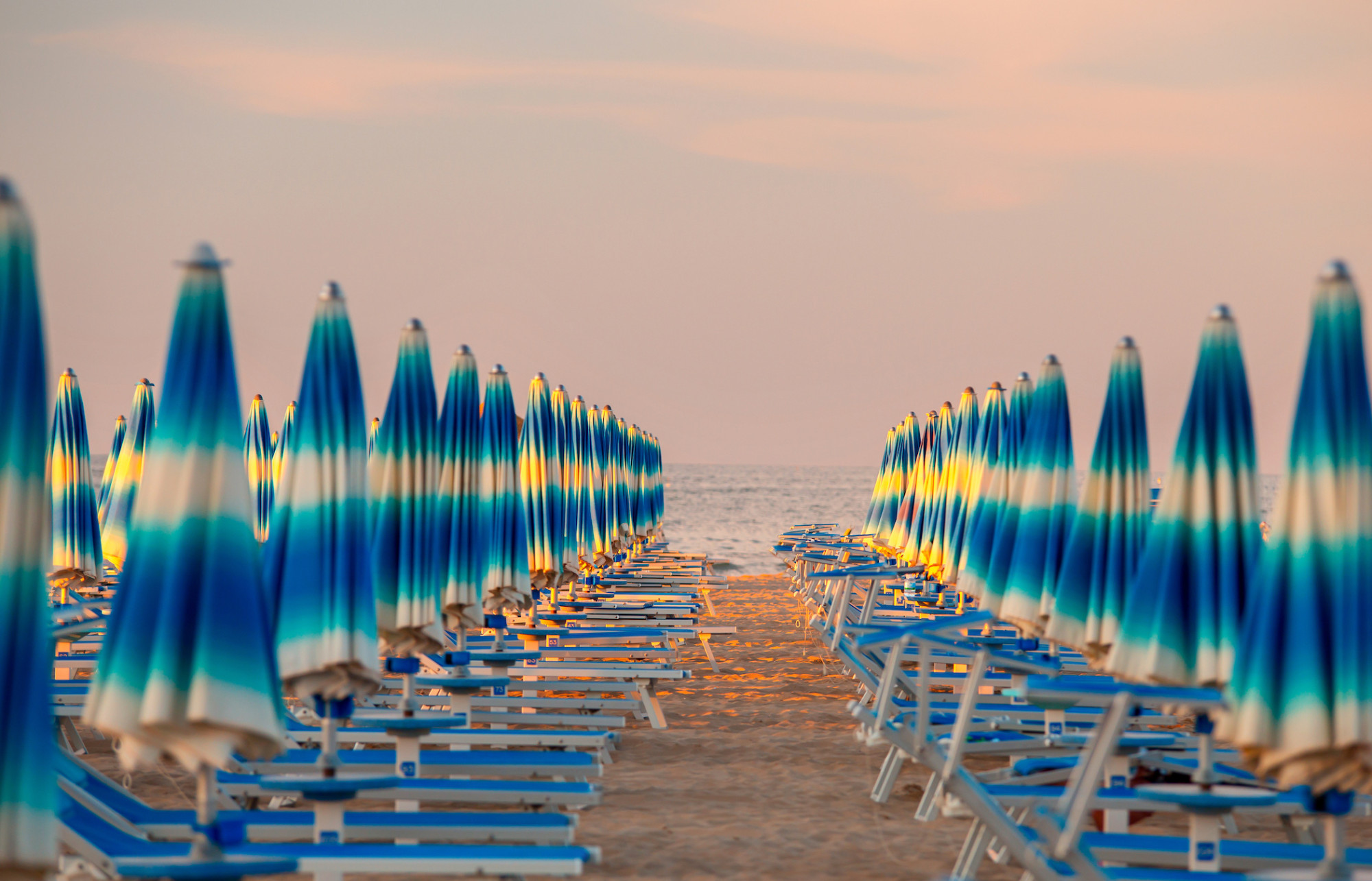 media.AdobeStock_249318621 copia